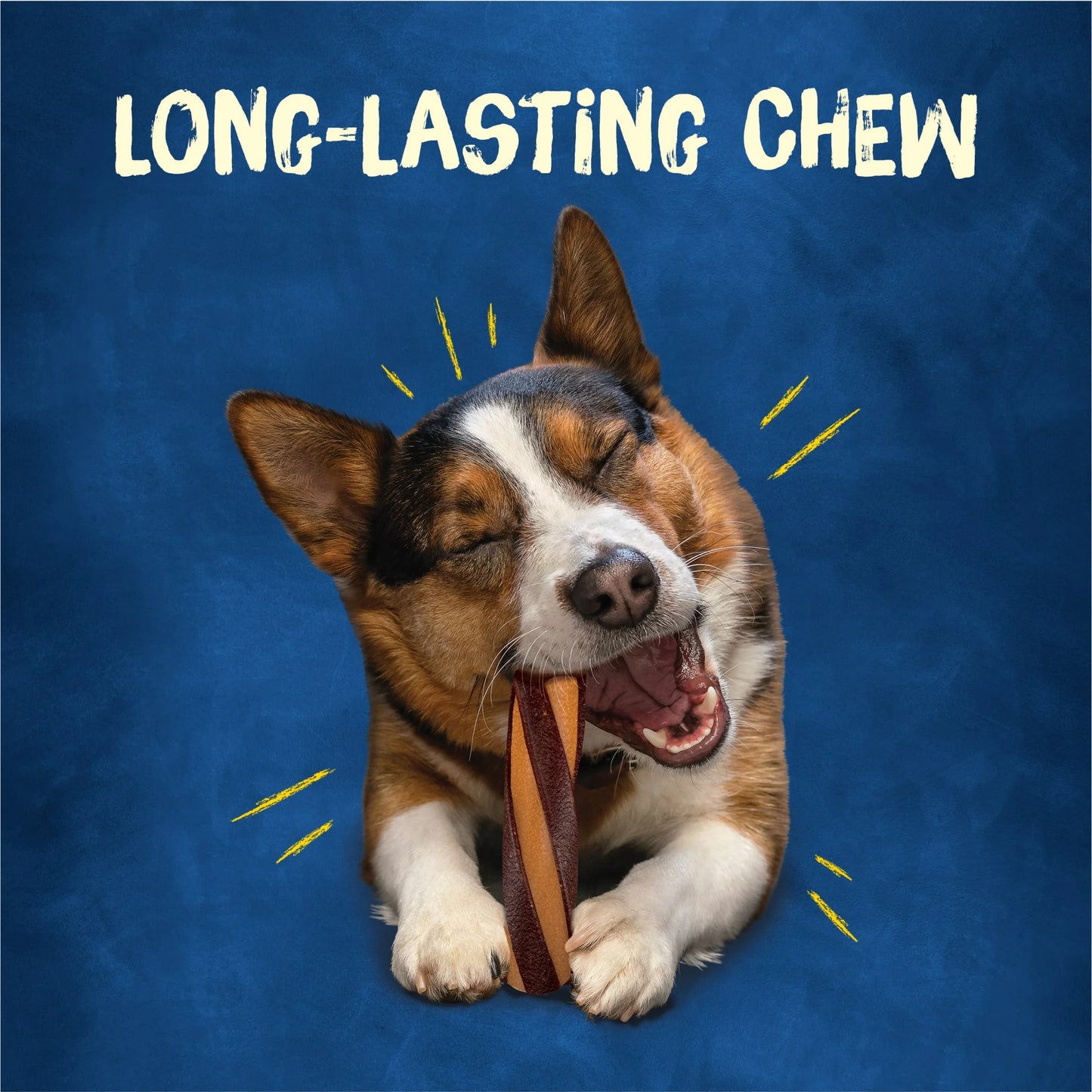 Purina with Beggin' Twist'D Small & Medium Dog Treats with Cheddar, 36 Oz Pouch (10 Count)