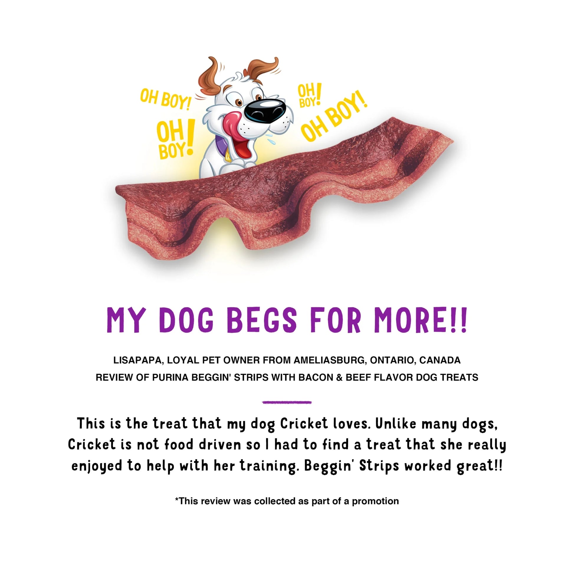 (4 Pack) Purina  Strips Dog Treats with Real Bacon & Beef Flavors Tender Chews, 25 Oz Pouch