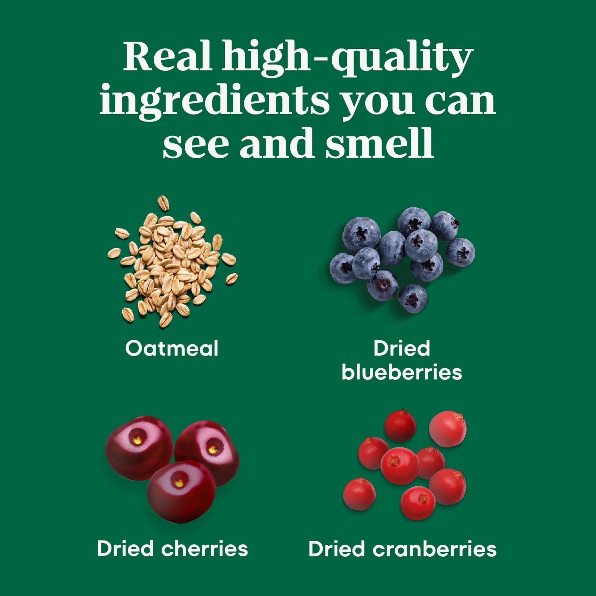 Crunchy Dog Treats with Real Mixed Berries, 10 Oz. Bag