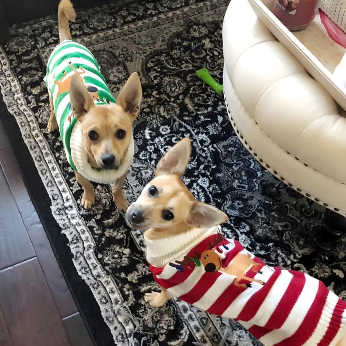 Dog Christmas Reindeer Sweater Pet Winter Elk Bells Sweaters for Small Dog and Cat (S, Green)